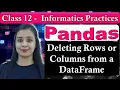 Pandas DataFrame - Deleting Rows or Columns from a DataFrame CBSE Class 12
