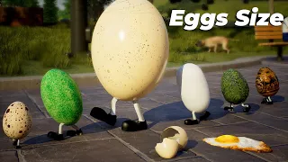 Walking Eggs Size Comparison Animals Birds Monster Eggs Size 