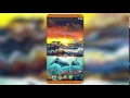 Dolphins Live Wallpaper