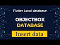 ObjectBox Database Insert Data Flutter Local Database