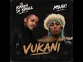 Kabza De Small & Msaki - Vukani [official audio]