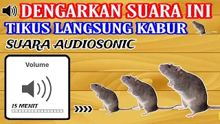 suara pengusir tikus paling ampuh tikus langsung kabur 15 menit