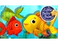 Counting Fish Nursery Rhymes for Babies by LittleBabyBum - ABCs and 123s