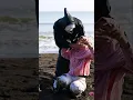 Nok diculik #chikaku #shortvideo #drama #short