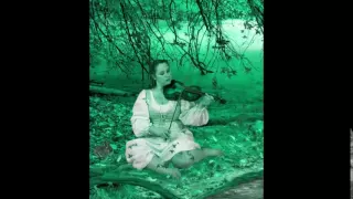 الحق على عيوني وائل جسار 