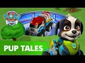 PAW Patrol - Pups Meet Rex the NEW Pup