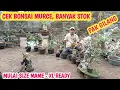 Download Lagu HARGA BONSAI MURAH ‼️ BANYAK STOK \u0026 BISA NEGO📞0852-3238-7806 @JeckpaeyBonsai91 