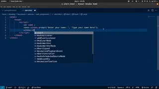 Window prompt Window alert and document write in JavaScript