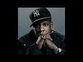 Camron Feat. Jay Z (Welcome To New York City)