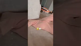 من دونك مبعيش لحضه بهل عمر Youtubeshorts ترند Shorts 