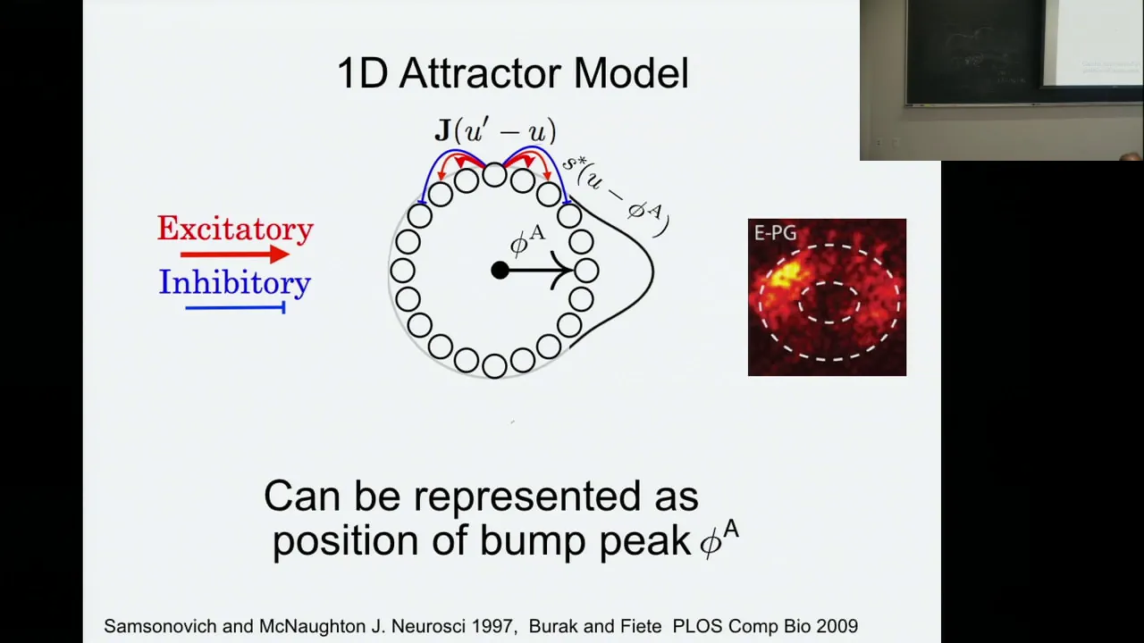 Emergent Elasticity in the Neural Code for Space