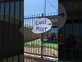 Beautiful Golf Cart Babe Cass Holland TikTok Story 1