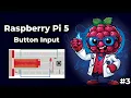 Raspberry Pi 5 Tutorial - Button Input