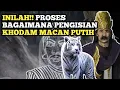Download Lagu Proses pengisian khodam macan putih