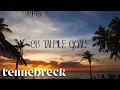 Download Lagu Mira - Cu Tălpile Goale | Tennebreck Remix