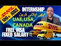 The SHOCKING Truth About DHL Hiring Now Exposed DHL Jobs in Dubai Best courier job AnsaariDXB
