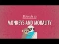 Monkeys and Morality Crash Course Psychology