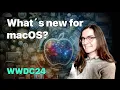 WWDC24 Key Updates for macOS Development with SwiftUI