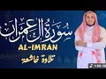 Download Lagu Most beautiful recitation of Surah AL E IMRAN by ALAA AQEL