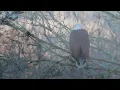 Touching Source - From Reiki Om by Dean Evenson