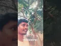 Download Lagu Methuva methuva oru kathal pattu song