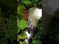 Download Lagu Hutan Kalimantan #alam #natural #hutan #airterjun #waterfall #negriatasawan #camping #drone