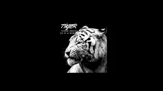 Download Tiger Drool- Tiger (D-N-A Remix) MP3
