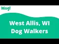 West Allis WI Dog Walkers Wag