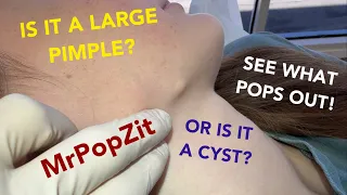 Can you see the face on what pops out!? Amazing pop! Just in time for school pics! Puppy face pop!