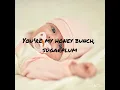 Download Lagu Buddy Castle - Cuppycake Song (Lyrics)