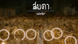 Download สบตา - แอนเดรีย Cover by Pangkwan [แพงขวัญ] MP3