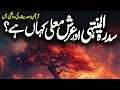 Download Lagu Sidrat Ul Muntaha Kahan Hai | Wonder of Sidra Al Muntaha | Sidratul Muntaha Tree | Faysal Islamic