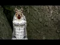 Sneaky Squirrels Steal Acorns Spy In The Wild BBC Earth