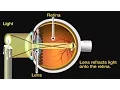 Lagu How the Eye Works Animation - How Do We See Video - Nearsighted \u0026 Farsighted Human Eye Anatomy