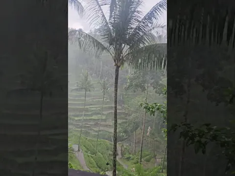 nature ik