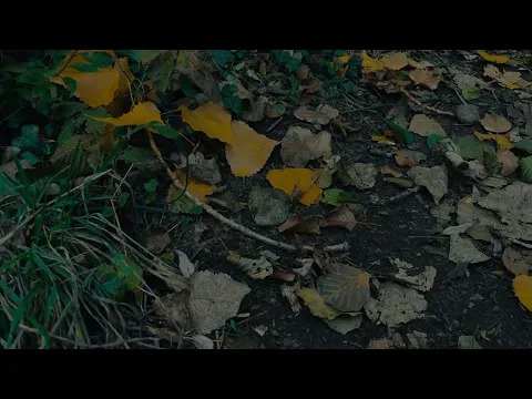 Wailing Stones Short Film | Official Trailer