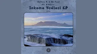 native p u0026 dr feel feat butiza inkomo yedlozi original mix 