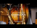 Go Go Penguins Kamaloka - LukashSax Edit