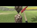 Cut Trees
