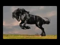 ريمكس بلقيس يا خالة 2017 DJ Black Horse