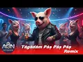 Lagu Tagadam Pas Pas Remix | Pe drum Mergea un Purcelus prin Romania | AGN Studio (Tribal House)