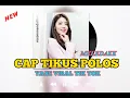 Download Lagu LAGU ACARA YASE‼️CAP TIKUS POLOS // REMIX URH !! VIRAL TIK TOK 🎼🎌