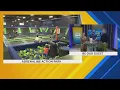 Be Our Guest with Adrenaline Action Park - 24