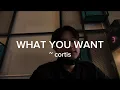 Lagu LIRIK DUGONG ( SUPER EASY LYRIC ) WHAT YOU WANT - CORTIS