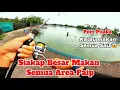 Download Lagu 💢TOKEY BELANJA SIAKAP BESAR-BESAR KALI NI😱‼️MEMANG PUAS HATI🔥🔥🔥VLOG124