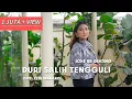 Download Lagu Lagu Karo Terbaru 2023 | Duri Salih Tengguli