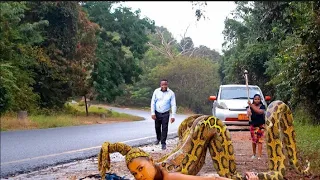 MIMBA YA JINI NYOKA 1 40 FULL HD 