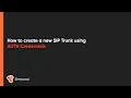 How to create a new SIP Trunk using AUTH Credentials Simwood Carrier Services Portal