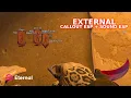 Always give perfect callouts in CS SoundESP CalloutESP - External Cheat
