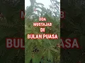 Download Lagu DOA MUSTAJAB DI BULAN PUASA #doamustajab #dzikir #feedshorts